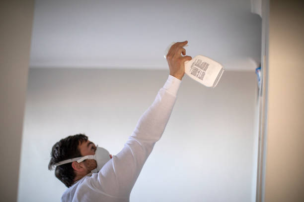Best Kitchen Mold Remediation in Sullivan, IL