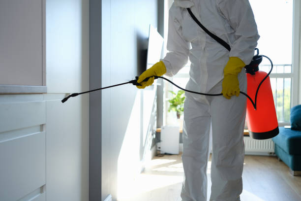 Best HVAC Mold Remediation in Sullivan, IL